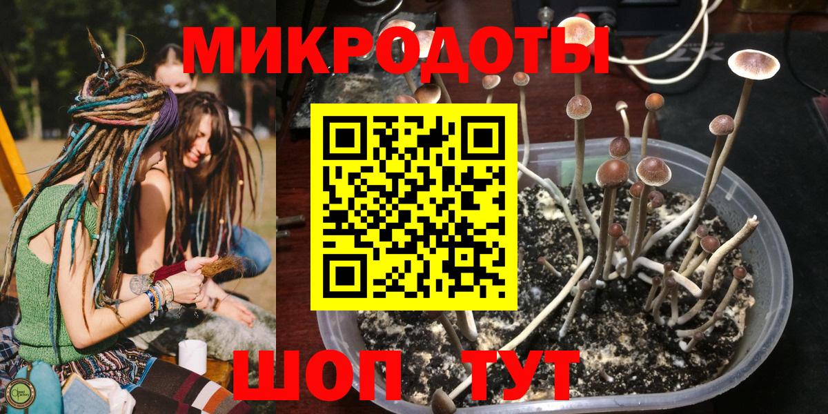 Псилоцибиновые грибы мухоморы  магазин продажи наркотиков  Вход с VPN  Лесной  Псилоцибиновые грибы мухоморы 