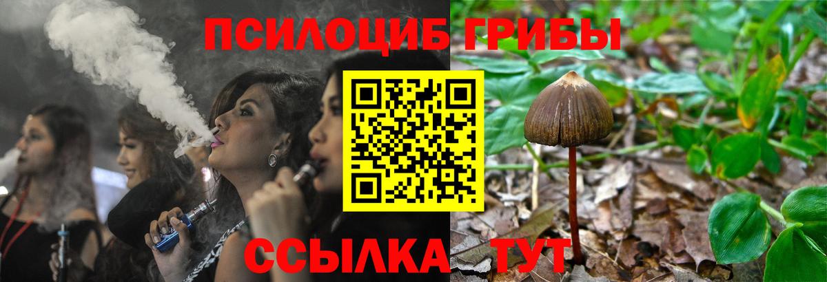 Галлюциногенные грибы Psilocybine cubensis Лесной